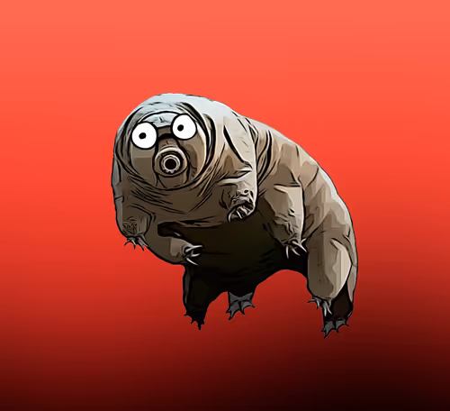 Item #86202550248586517642199010531110464804800601482172909858196685608243588759553 Media