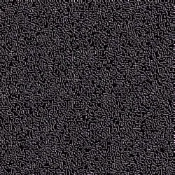 Morph 02