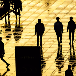 Silhouette Story #190
