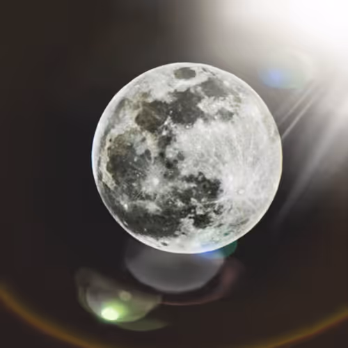 Item #63892615673524110522397868948732580260233038900548169312971090586116703649793 Media