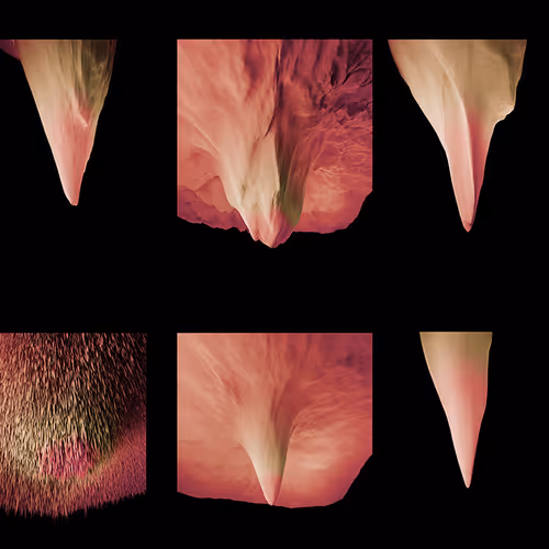 87855534987201374925371944818297600221317149567981150322417554442908256436225