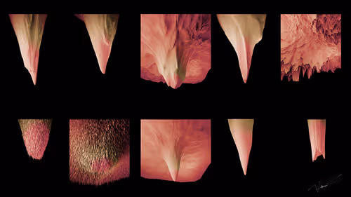 Item #87855534987201374925371944818297600221317149567981150322417554442908256436225 Media