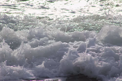 Item #110563264937173630415102547684714144673786021135482478862181301879017069084673 Media