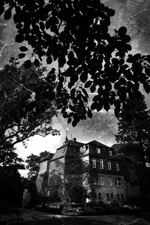 Item #40160686583094733528677484039903516258611509642019211679321071504549188993025 Media