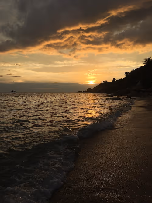 Item #40129036347338487732493830186327944618305484146391989675731997391913475899592 Media