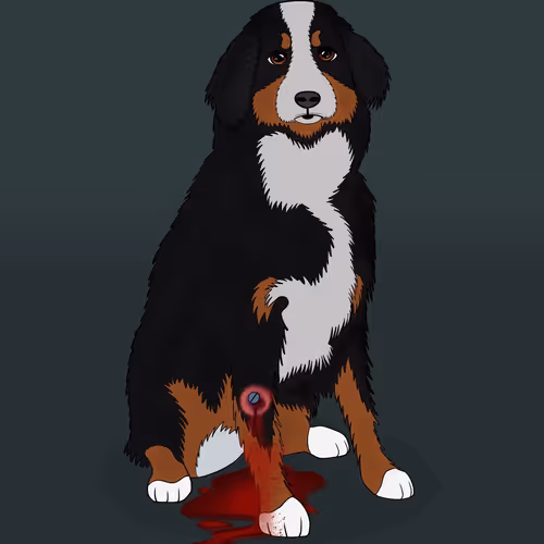 Item #18929025953091685879740265421444029621973902778044225700407145475899238907905 Media