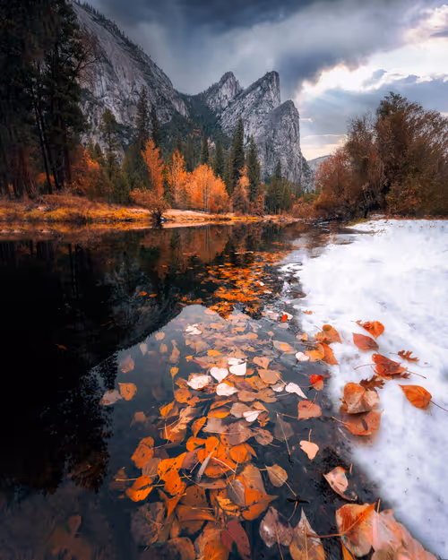 Item #50898105301689156187270630185722760964054040710391092940162900815277694386177 Media