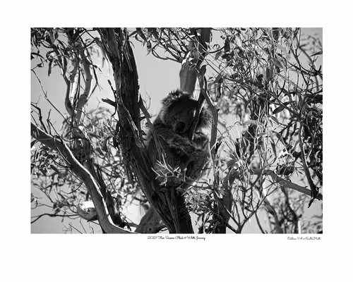 Item #24600310660482288606297797528155087939323639147399647196853483678723678928897 Media