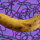 17430630171349349400288766735545034140406591805959731430343627421096362377217