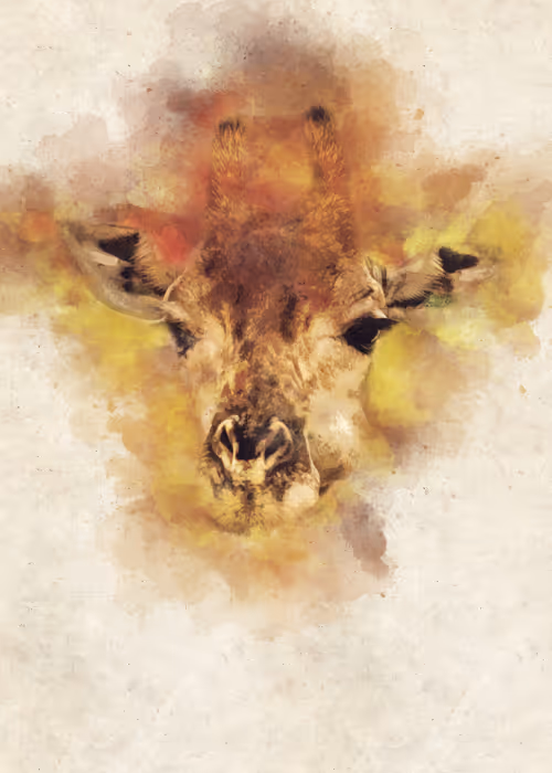 Item #15014501094177266764276721167416670682863278571620639160817117497163270586369 Media