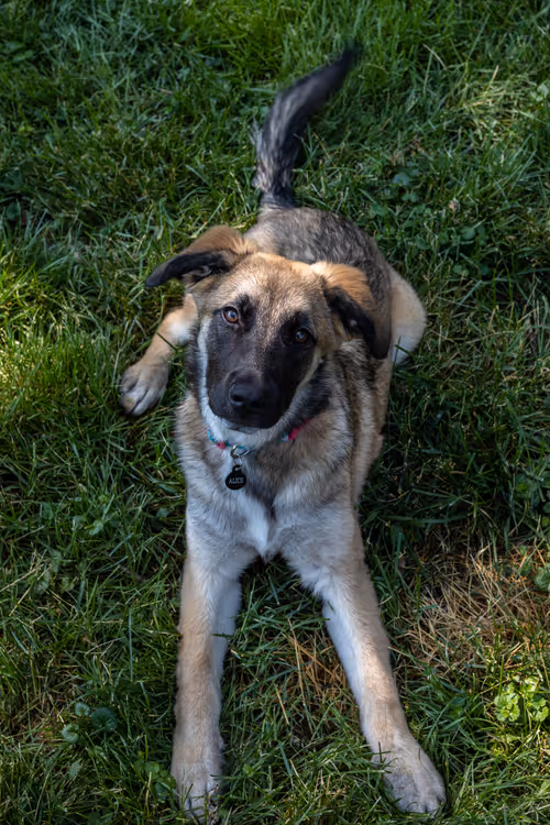 Item #19684374529110288056520570276703370007863893692966726326193838166871929520129 Media