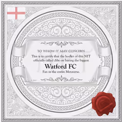 Biggest Watford FC Fan in the Metaverse