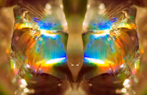 Item #86322865835249178422551085128691778807953829915868126837986678411798847160321 Media