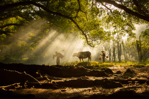 Item #87039837623497109248111371843753350751098431609447691644405014516341881700362 Media