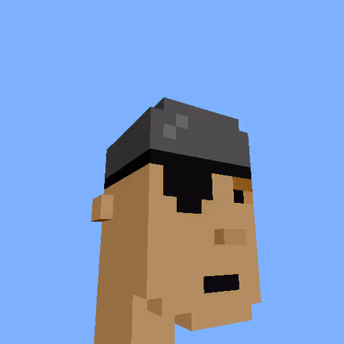 PunkVoxels #0139