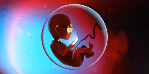 Conceptual & Dimensional