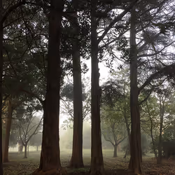 17170766491500085813784528329408520152162080499931486046086089721925427265541