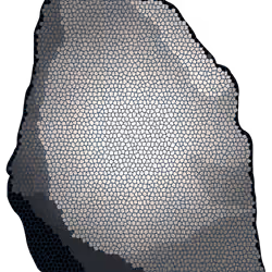 Rock ID 98