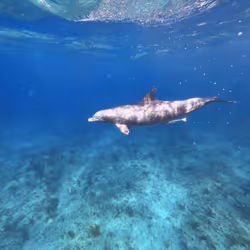 80965803268169370603932631570667161375508893671094224909166964071037342318593