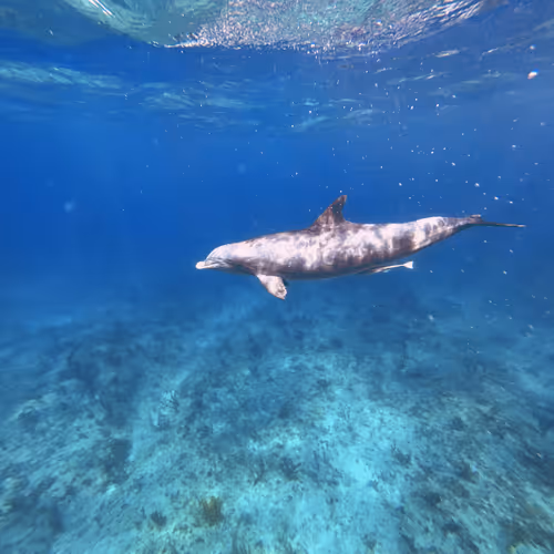 80965803268169370603932631570667161375508893671094224909166964071037342318593