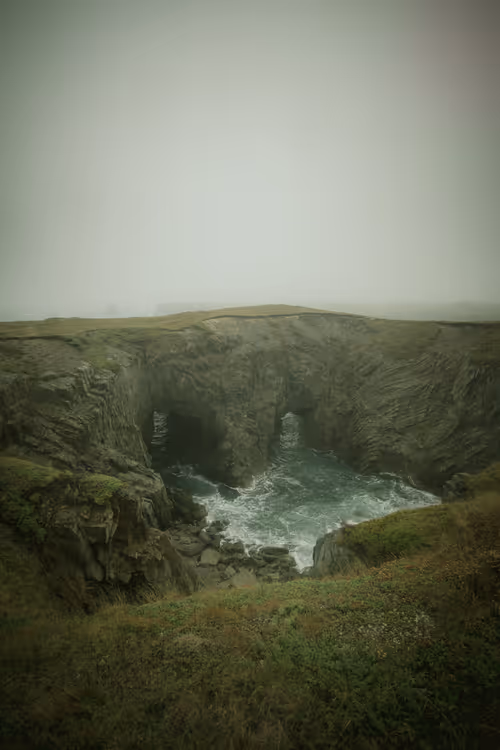 Item #9401445363475959616826929925346071850130199423047290682338619261807277113345 Media