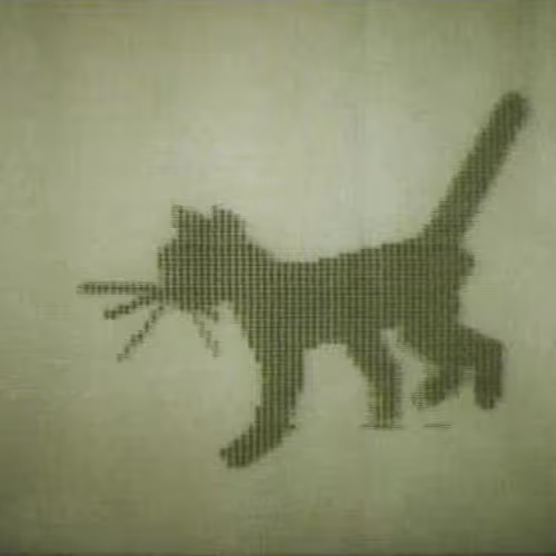 114794072869856138826200478001108444002879571033832926783747650730168697225217