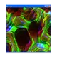 GIF.EXE #53