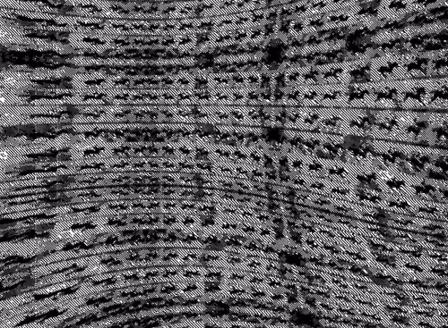 Item #38554523345966008940024304143890902800451433555161768726511837502524606119937 Media