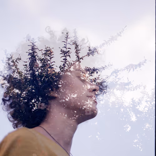 Analog Dreams 2 H9PkRVDqZP