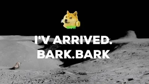 Item #43981149111990311702922748583870381405248178679528384537245298478567814856705 Media