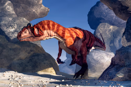 Item #15201862250514145958676777466825728141953005429687029988591517090888030355457 Media