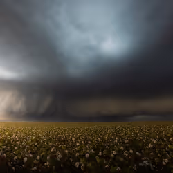 57251113074943954855942840735628688179357395096498924603553152766788098850817