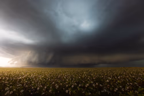 Item #57251113074943954855942840735628688179357395096498924603553152766788098850817 Media