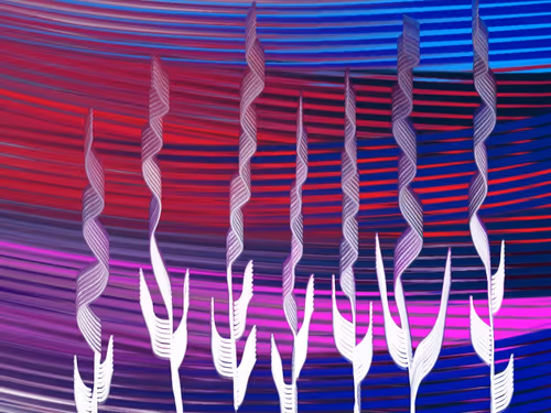 Item #74654375057201637309928082865197213860540874173814152173705514689733981110273 Media