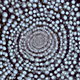 40090172695085413256965535555586358742660933280315103792741769836666160252576