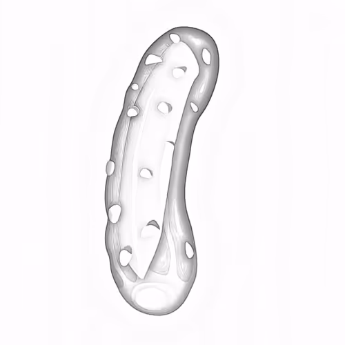 Item #4277533251867554503033830801493618956121864678661004551727812408519153418241 Media