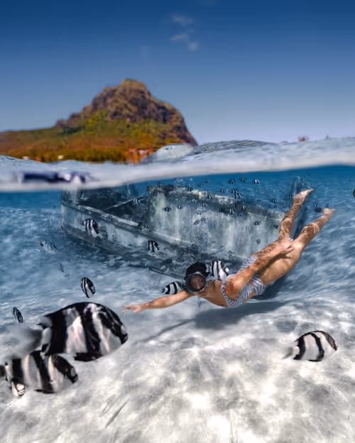 Item #64892573542216553225063327700336004171019867697641980949815581364609957756929 Media