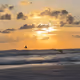 Beach Life 2022