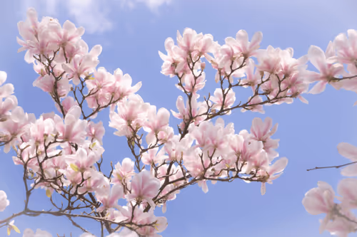 Editions by FotoGraaGHanneke