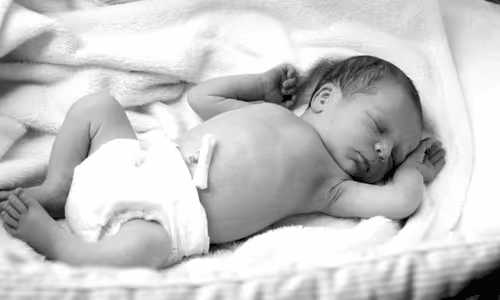 Untitled Collection #20311443