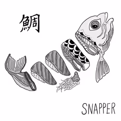 鯛 Snapper