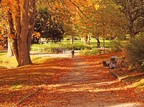 Item #60900233496809916720266591054544741650187585970375941388850873318754178039809 Media