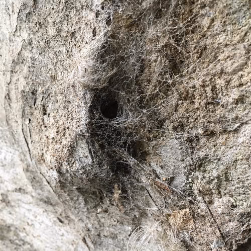 Item #26658692853047594662684063584859351739740990353533291936945253105385540157441 Media