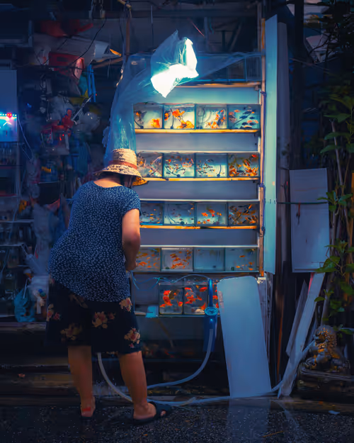 Item #105025572156970423279806083631740089086586526732791604564462752006604417138689 Media