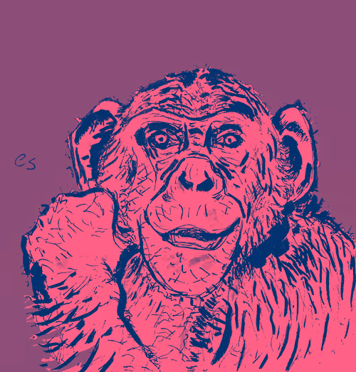 Item #39091703505809475788956350880894769302011138939225893693019847045374093033473 Media