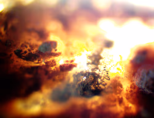 Item #71646257518770613568983710813551014237803002136866425209291834648617656778753 Media