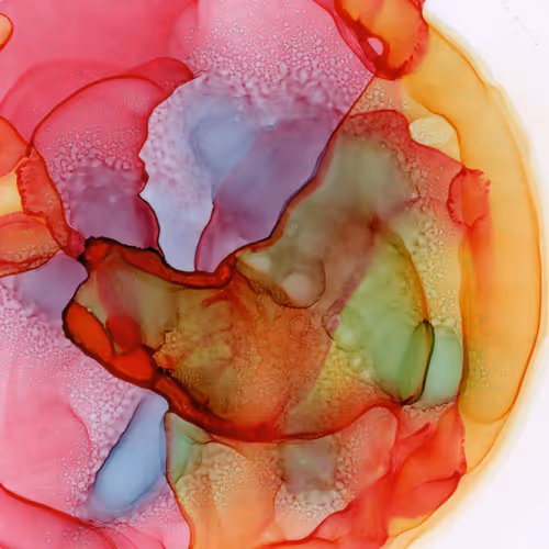 Item #29520418552145809798583464197808626937236403153754494126203225233000373420076 Media