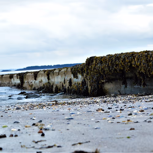 ECR-NFT-NIGHTS Collection