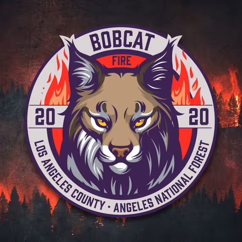 Item #67854158597483269235970760162990017213054303933202767218566885461825006075905 Media