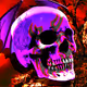 House of Skulls #35